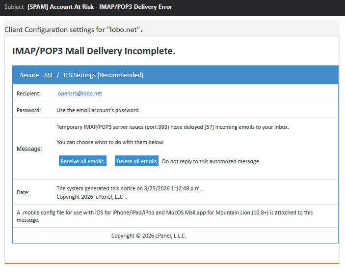 emailscam8